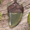 NZ Greenstone Small Niho Taniwha Tooth Pendant (BE586) Kokopu Pounamu