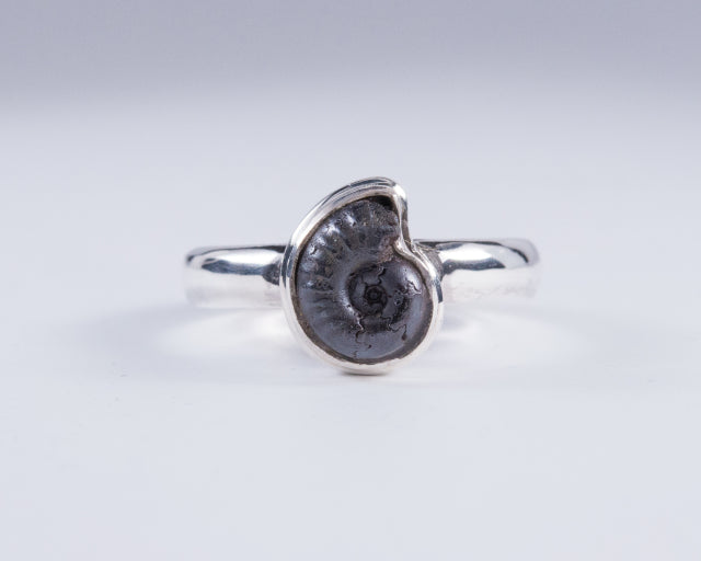 Ammonite Pyrite Sterling Silver Ring Size 6 (AH737)