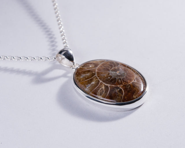 Ammonite Sterling Silver Pendant (AH838)