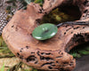 Koru carved from Hapopo Pounamu - NZ Greenstone
