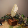 Freeform Kokopu Pounamu Sculpture with a wooden base - NZ Greenstone