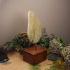 Freeform Kokopu Pounamu Sculpture with a wooden base - NZ Greenstone
